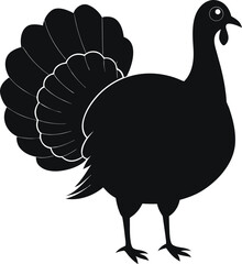 Silhouette of a turkey on a white background