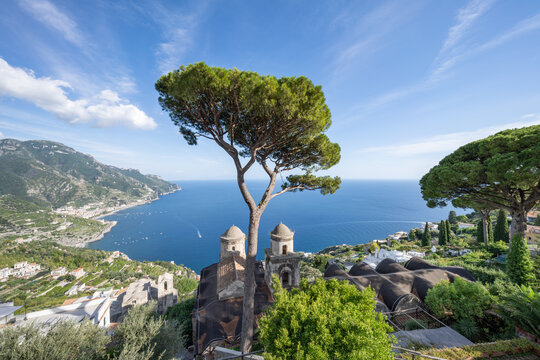 Parasol pine tree at Villa Rufolo, Ravello, Amalfi Coast, Italy