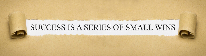 Success is a series of small wins