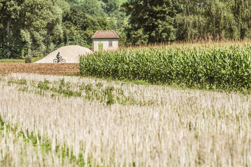 Maisfeld, umgepflügter Acker, Stoppelfeld mit Wehranlage und Kiesberg mit unkenntlichem Radfahrer...