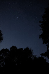 Night sky with thousands of stars shining above forest silhouettes, clear view of constellations...