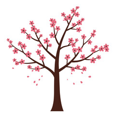 Cherry blossom tree with falling petals on a white background