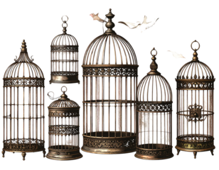 Collection of Six Vintage Style Birdcages in Varied Shapes and Designs