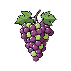 bunch of grapes isolated on white