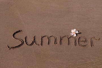 The inscription Summer on the beach with a flower