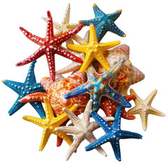 and keyword list based on the image, following your specifications.. Colorful Starfish and Seashells Clustered Together on Blank Background.