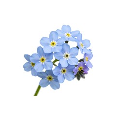 Obraz premium Stunning exoplanet with rings and dramatic celestial event against starfield backdrop for space exploration