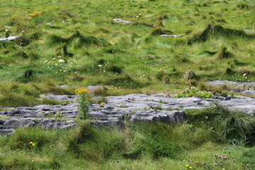 Site d'Inishmore, dans les îles d’Aran au large de la côte ouest de l’Irlande