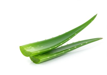 Two cut, stacked Aloe Vera leaves, showing their green bodies and tiny teeth, isolated against a white backdrop