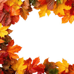 Autumn leaves frame (7)