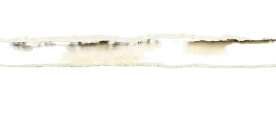 Ripped paper strip against black background