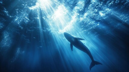 Underwater scene featuring a whale bathed in radiant sunbeams creating a magical ambiance