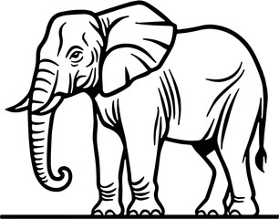 A black and white line art drawing of an elephant standing on the ground