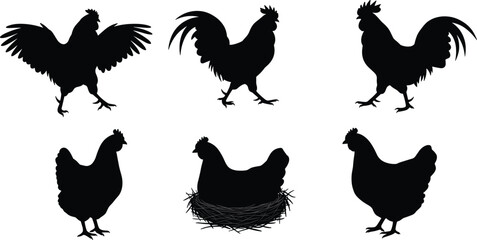 Chicken and rooster silhouette set, farm poultry vector collection, nesting hen, black isolated birds, rural livestock, agriculture animal illustration