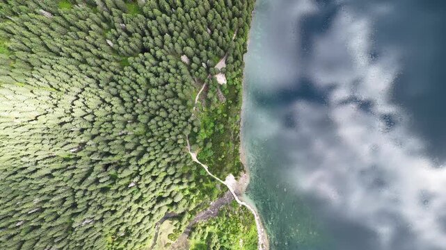 Top-down drone view of Morskie Oko lake and forest in Tatra Mountains, Poland