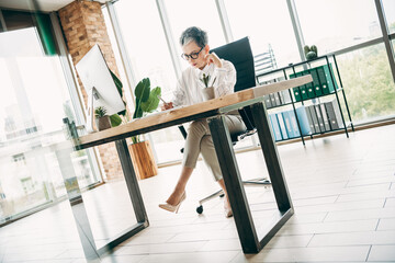 Confident businesswoman working in a modern office while analyzing documents and using technology...