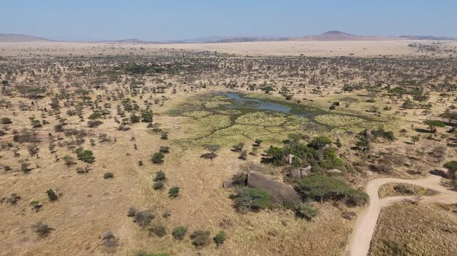 Aerial shot of Serengeti National Park landscape in Tanzania