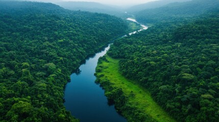 A stunning aerial view of a dense, lush green forest with a winding river flowing through it, creating a beautiful and peaceful natural landscape.