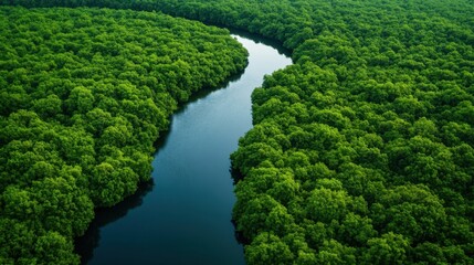 A beautiful aerial view of a lush green forest with a flowing, winding river, showcasing a peaceful and untouched natural landscape.