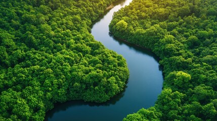 A stunning aerial view of a dense green forest with a winding blue river, creating a beautiful and peaceful natural landscape.