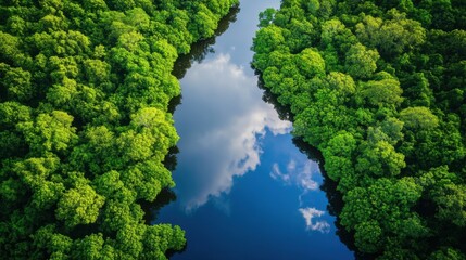 An aerial view of a vibrant green forest with a winding, snake like river flowing through it, creating a natural and serene landscape.
