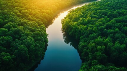 A stunning aerial view of a winding river flowing through a green forest at dawn, with soft, natural light illuminating the landscape.