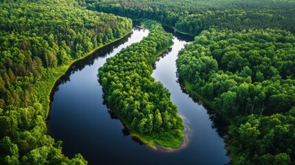 A beautiful aerial view of a lush green forest with a flowing, winding river, showcasing a peaceful and untouched natural landscape.