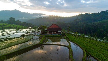 A serene terraced rice paddy landscape at dawn, showcasing a traditional house nestled within the verdant hills.
