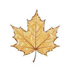 Obraz premium Autumnal maple leaf rendering offering a serene visual experience with an elegant design element