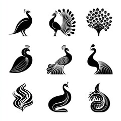 An elegant series of peacock silhouettes in sophisticated patterns representing freedom and beauty