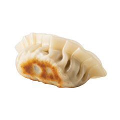 Single pan fried dumpling with golden brown bottom and white pleated top gyoza potsticker 1