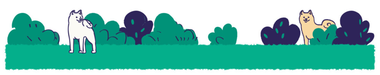 Lawn and white lawn dog. Copy space. Dog run.	