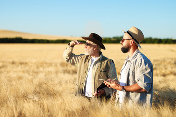 Farmers in field with ripe wheat outdoors, space for text