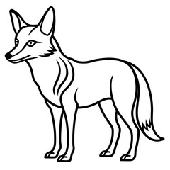 Jackal Outline Illustration