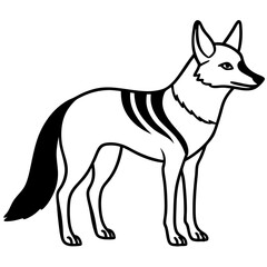 Jackal Outline Illustration