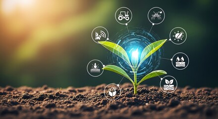 A small green plant growing in soil with icons representing sustainable agriculture concepts around it