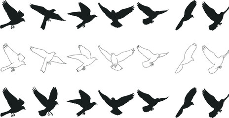 bird silhouettes set, flying doves, pigeon shapes, black and white, flight positions, vector design, wildlife, nature, animals, avian illustrations