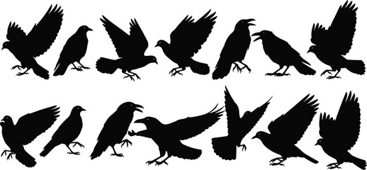 Crow raven silhouettes, bird poses, flying and standing, black vector icons, wildlife illustration, spooky design, nature symbol, animal graphic set