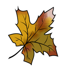 Obraz premium Hand drawn Seasonal fall leaf design with warm earthy colors. Illustrated autumn maple leaf in watercolor style with warm orange brown and yellow shades isolated on white background 