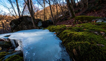 A frozen cascade flows over mossy rocks in a serene woodland setting, showcasing the interplay of ice and nature.