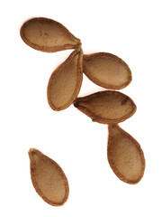 Close-up of pumpkin seeds isolated on white surface