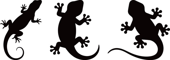 Collection of three gecko or lizard silhouette vector icons in different poses, showcasing their unique body shapes.