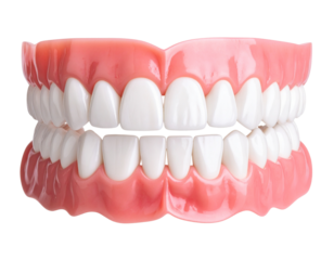  Full Set of Dental Teeth with Healthy Gums, Front View, isolated on transparent background