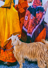 Oman;colors,architecture and nature