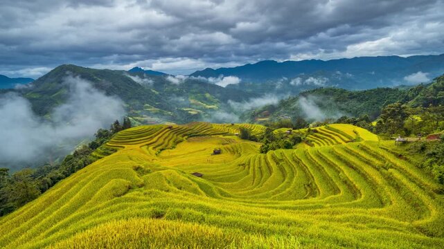 Timelapse of cloud over terraced rice fields, northern of Vietnam
