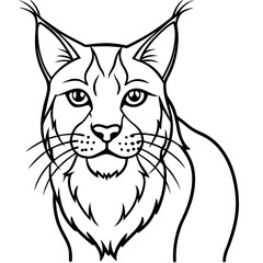 White Background Lynx