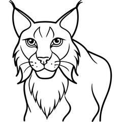 White Background Lynx