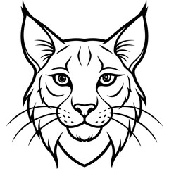White Background Lynx