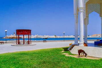 Oman;colors,architecture and nature