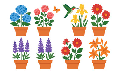 Obraz premium Colorful potted flowers and hummingbird with butterfly in flat design